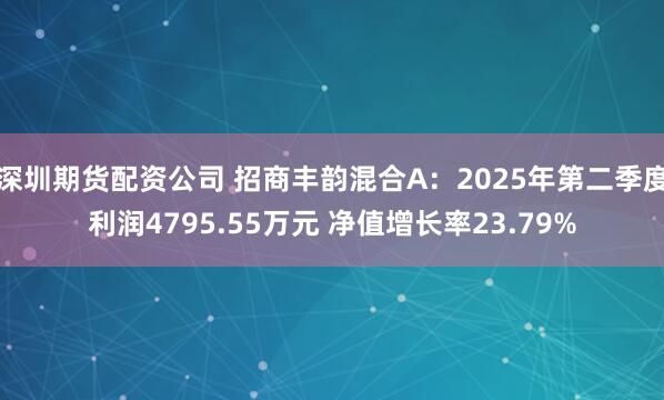 深圳期货配资公司 招商丰韵混合A：2025年第二季度利润4795.55万元 净值增长率23.79%
