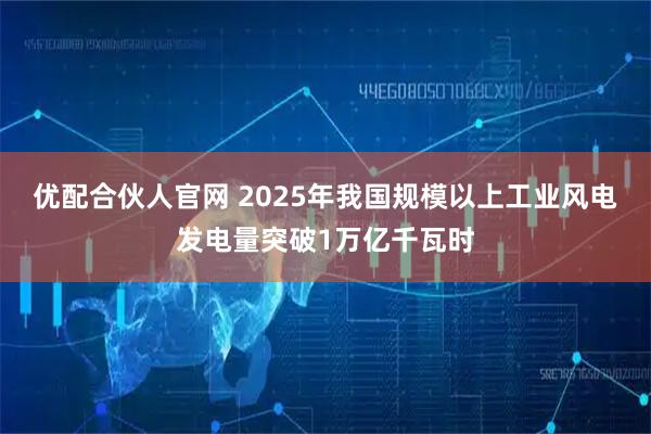 优配合伙人官网 2025年我国规模以上工业风电发电量突破1万亿千瓦时