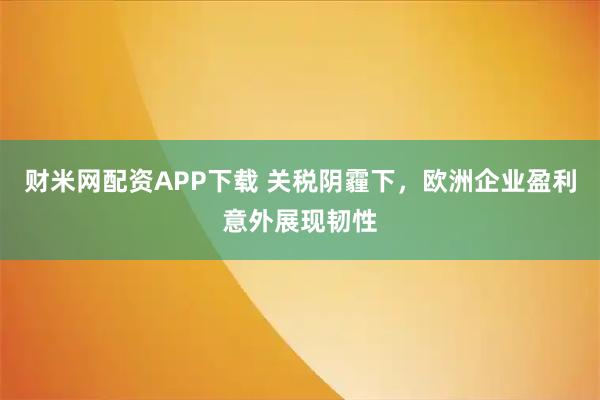 财米网配资APP下载 关税阴霾下，欧洲企业盈利意外展现韧性